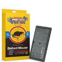 glue traps for mice