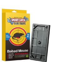 adhesive mouse trap